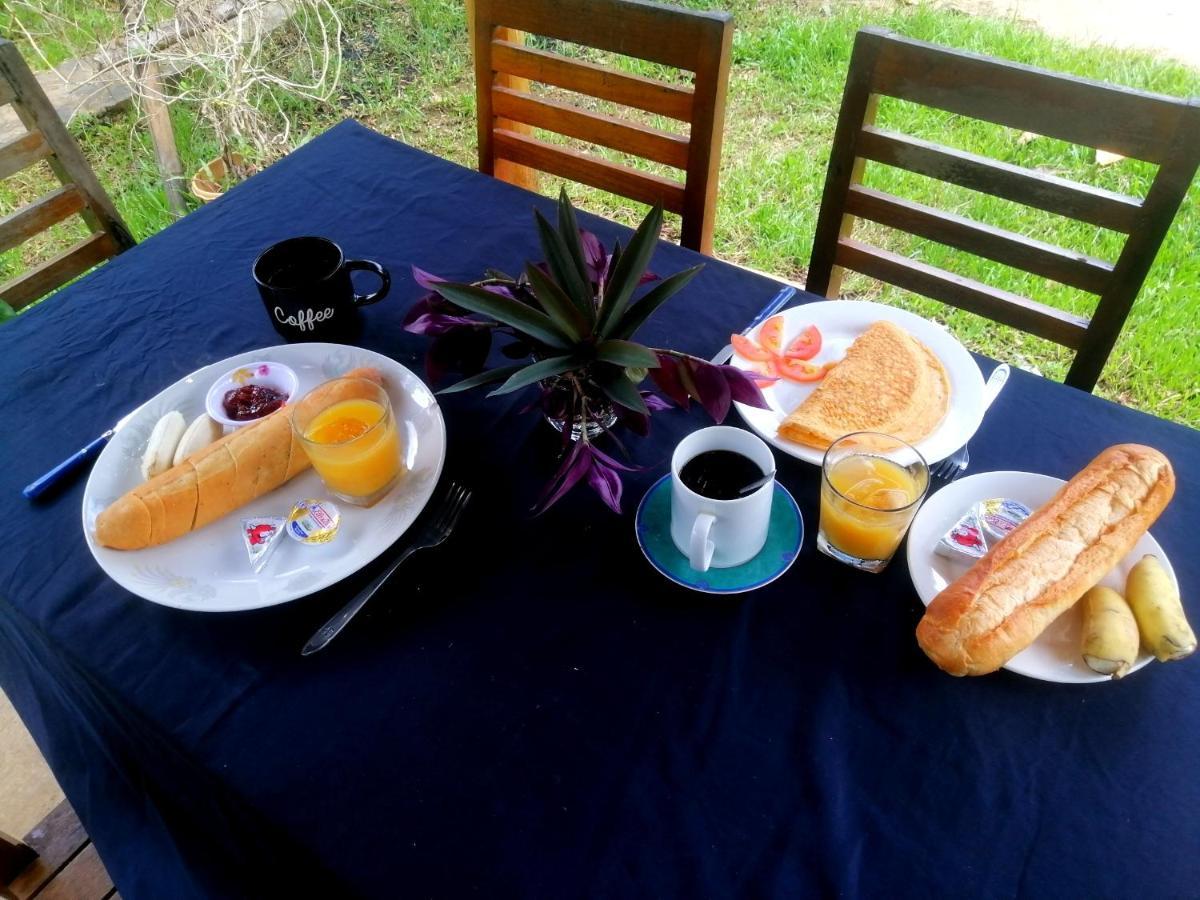 Tortuga Guesthouse 贡布 外观 照片